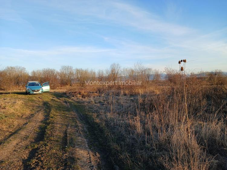 Teren 12.300 mp de vânzare Hărman – Podu Oltului, Brașov | 15 €/mp | Investiție - 3