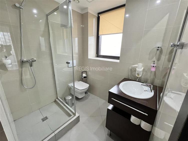 Proprietate exclusivista 4 camere Silver Mountain - 18