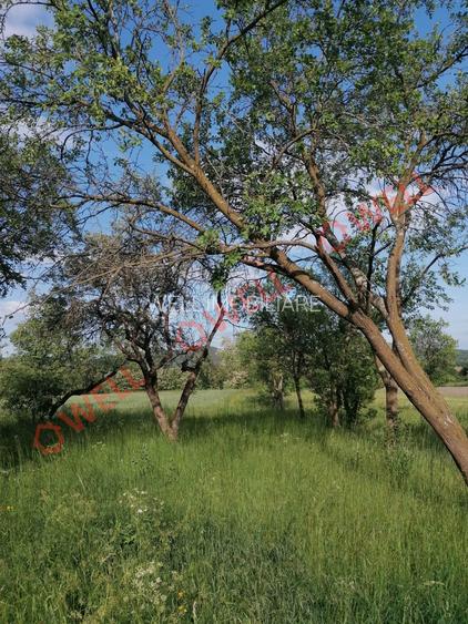 De vânzare teren intravilan în Estelnic! - 5