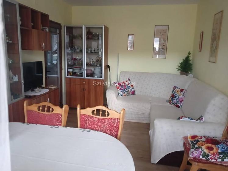 Proprietar-vand apartament cu 3 camere SIGHETU MARMATIEI  - 7
