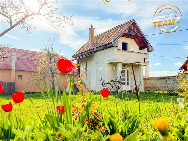 Teren frumos de 1.469 mp cu casuta: oportunitate in zona Centrala, Bodoc - 25