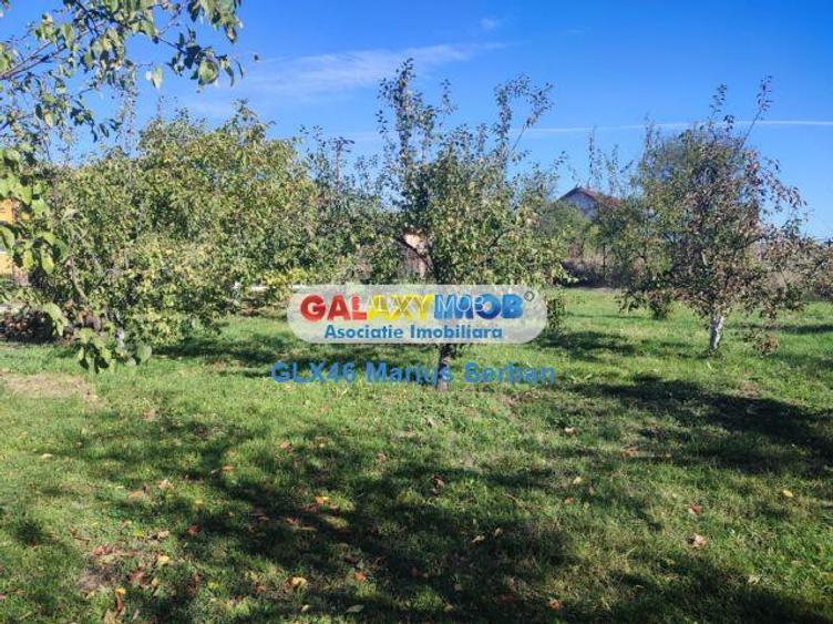 Vanzare casa Petresti Dambovita - 20