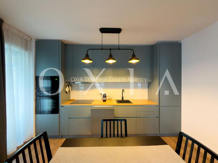 AX1134 ISHO, Take Ionescu, Loc De Parcare Subteran - 4