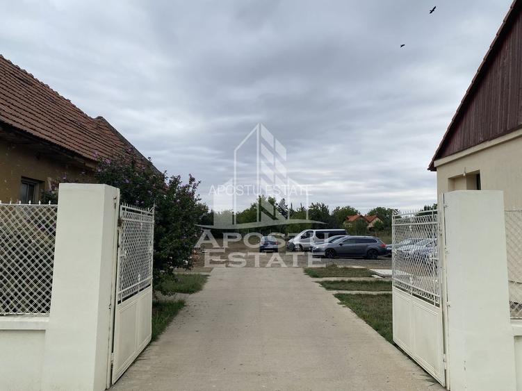 Casa în Dumbrăvița cu teren de 3039 mp și Front Stradal de 40 ml - 5