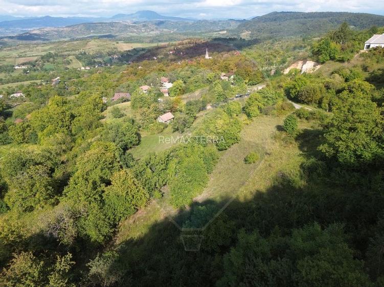 Teren intravilan de vânzare în Măgureni - 10