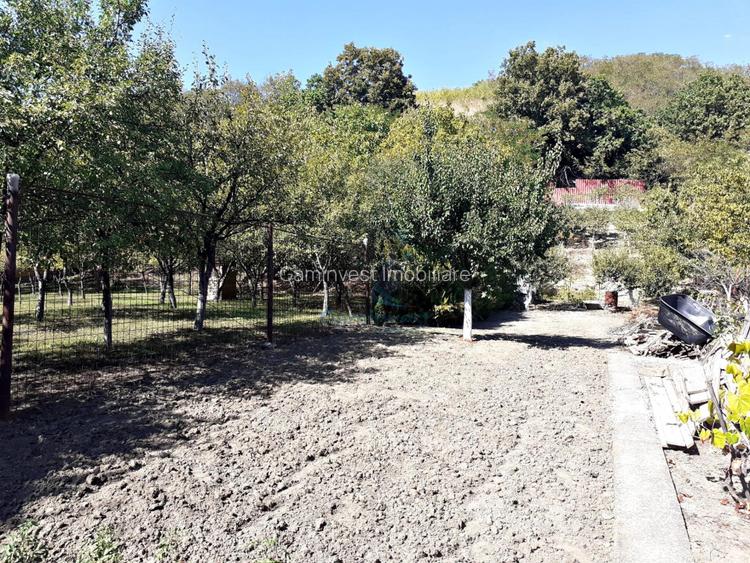 Casa din busteni de vanzare, Podgoria, Oradea - 4