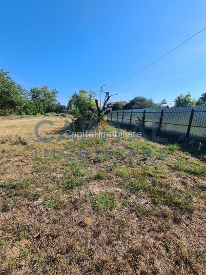 Teren Intravilan 6017 mp pentru Constructii Case Individuale, Duplexuri, Blocuri - 4