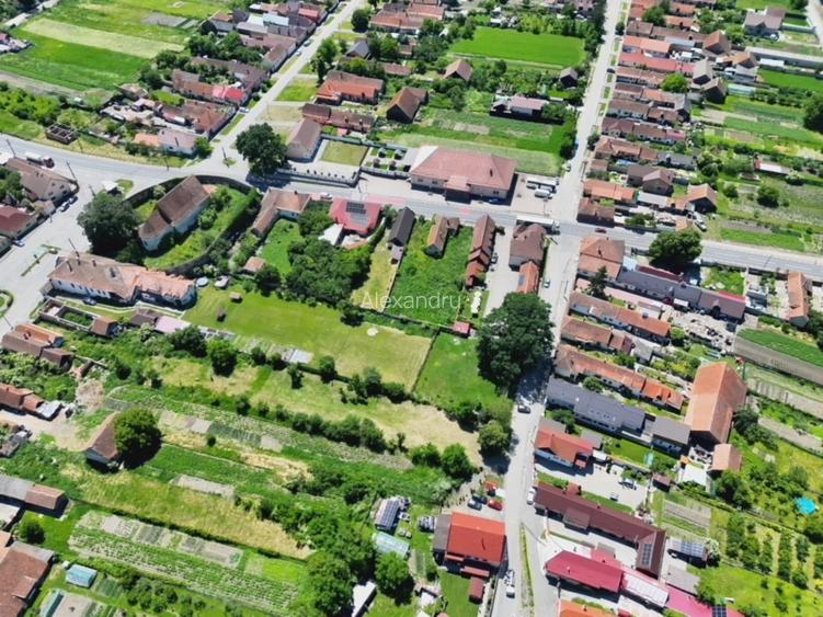 Teren Intravilan 1.251 mp în Rotbav (Brașov) – Toate utilitățile, acces asfaltat - 5
