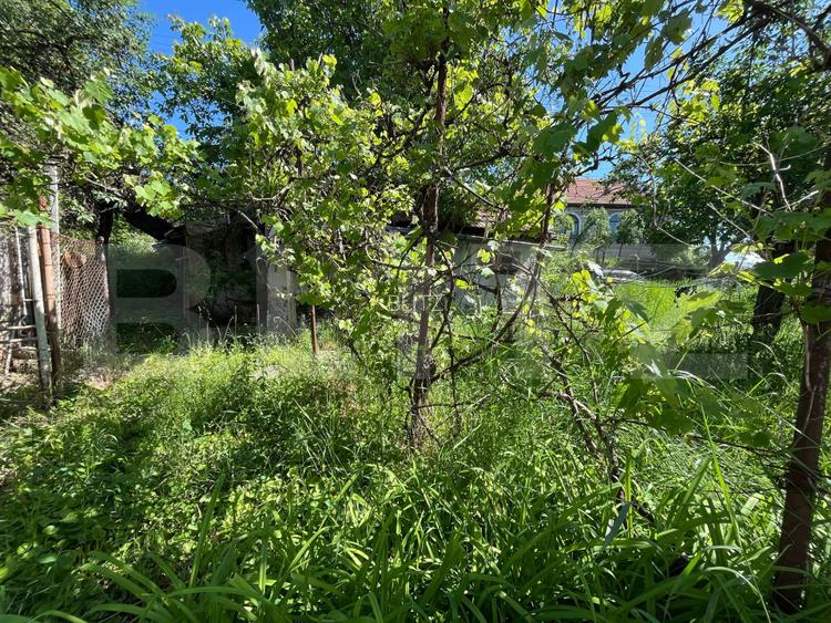 Casa individuala Dambu Rotund, 648mp teren - 4