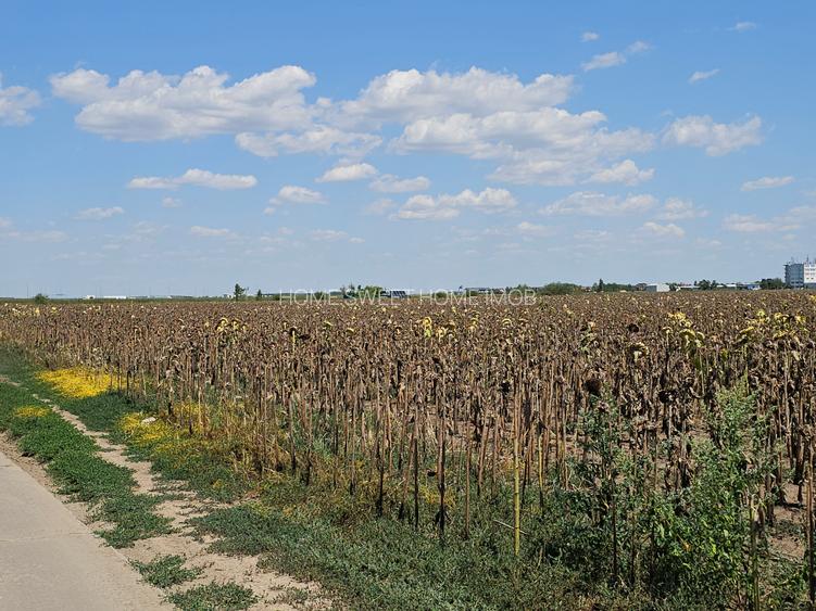 Teren Popesti | A0 | 3.3 HA intravilan | CU P+2 | Comision 0 - 11