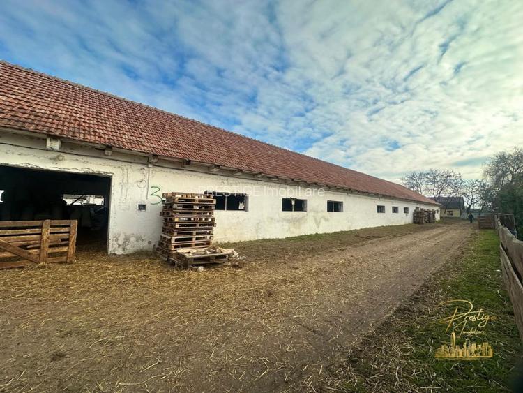 Domeniu - Centru de colectare, 7 ha de vanzare in Valea lui Mihai - 53