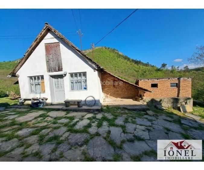 Casa de vanzare cu 46774 mp teren in zona Vintu - 5