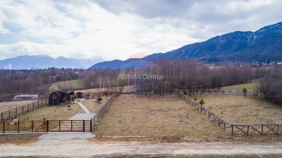 Teren intravilan 850mp Zarnești-Bran, natura-relaxare - 8