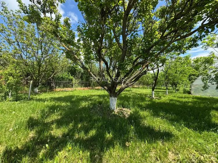 Casa cu 4000 mp teren, Letca Noua, Giurgiu — 40 min de București - 12