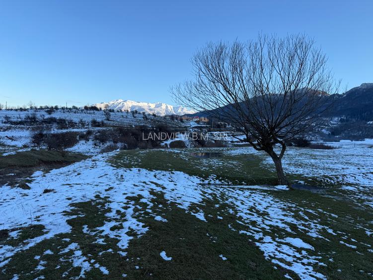 Teren intravilan 667 mp in Zarnesti zona Grui pentru casa - 2