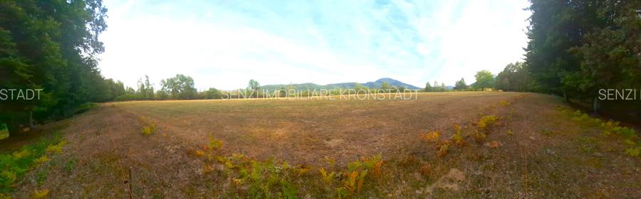 Teren cu panorama de vis in Glajerie- Sohodol - 7