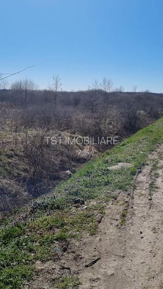 Vanzare Teren Intravilan– Dorolt - 3