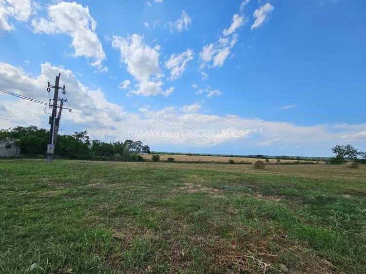 Judetul Prahova, in Poienarii Burchii, conac neoromanesc si teren 2.800 mp - 6