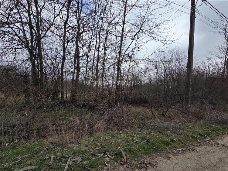 Teren intravilan cu gaze la strada Bujoreanca Dambovita S=9658mp D=49mp - 4