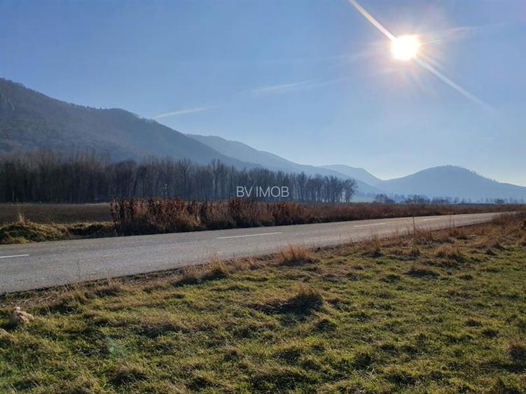 Vanzare Teren intravilan Str. Cucului, zona Bartolomeu 18600 mp - 14