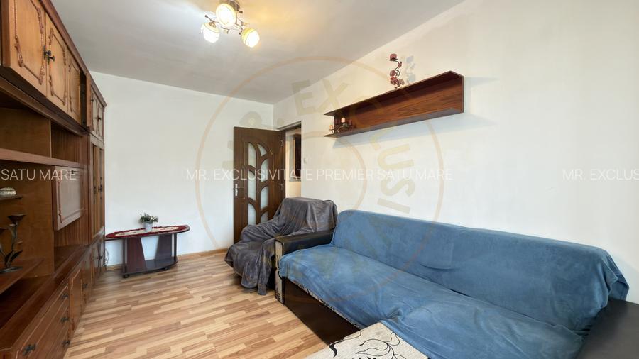 Apartament 2 camere Zona Penny Etaj III, Ignișului 26 - Carei - 11