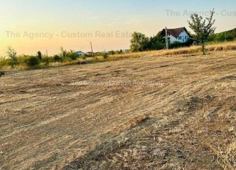 Teren 1200 mp (30x40) - Cartier Romatsa - 4