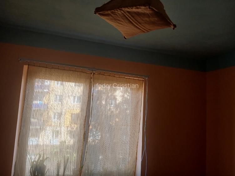 Apartament priviri la 3 dealuri ,langa primarie ,spital,lidl,profi,carrefour - 8