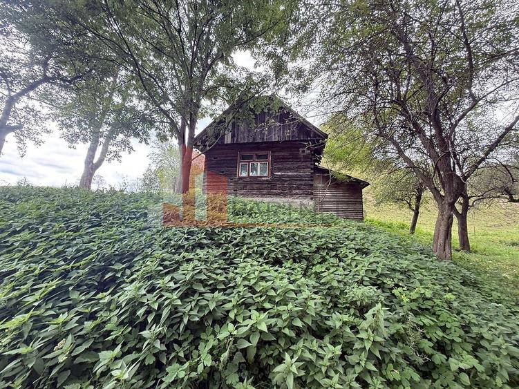 Teren de investiție în Moieciu, lângă Castelul Bran – 11.381 mp, vedere Bucegi