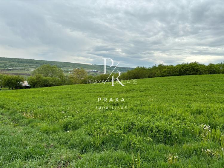 Teren extravilan, 2165 mp, priveliste, zona Dealul Fanatelor! - 3