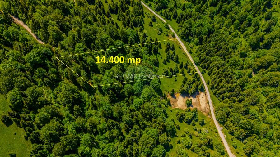 Teren extravlan 14,400mp Paraul Rece / Strada 3 brazi - 5