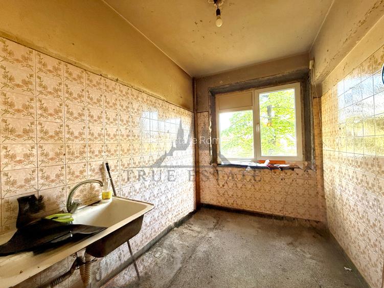 Apartament in zona 1 Mai - Domenii cu vedere pe spate, catre zona de case - 12