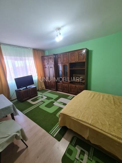 Apartament cu 1 camera - zona Tatarasi - Oancea - 9
