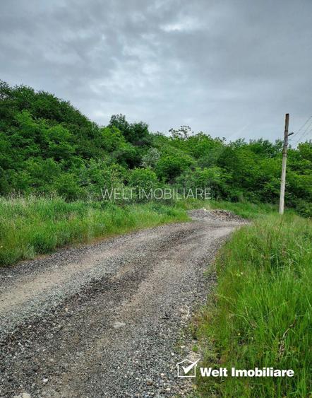 Teren de vanzare in Campenesti - 4