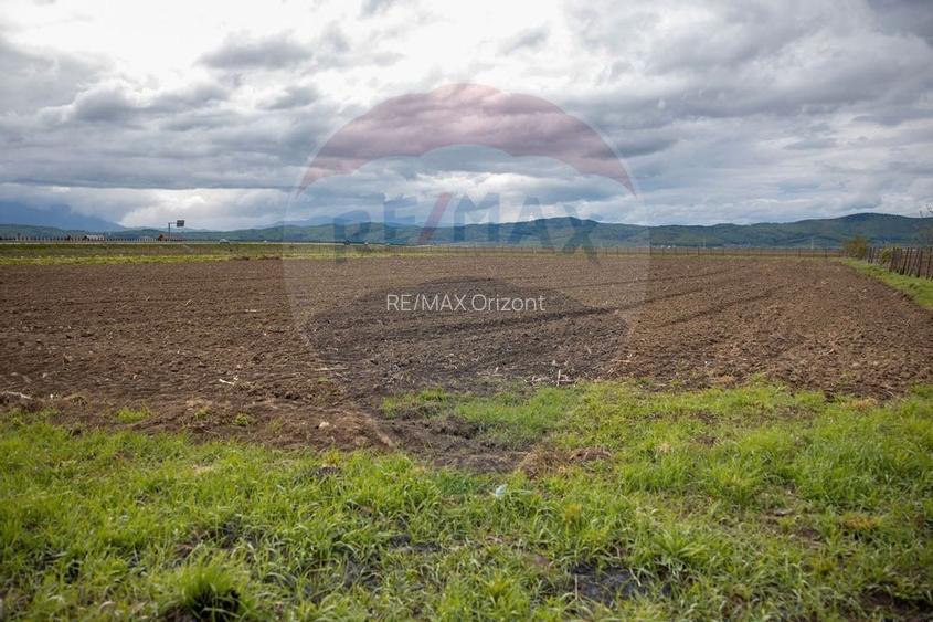 COMISION 0% | TEREN EXTRAVILAN | CRISTIAN | AUTOSTRADA A3 | GHIMBAV - 7