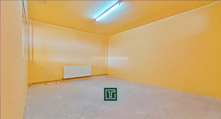 Clădire cu 10 camere în Aradul Nou – ideală pentru investiție/afaceri - 10