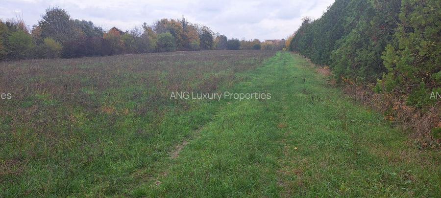 OAZA DE LINISTE SI RAFINAMENT LA MALUL LACULUI - 3