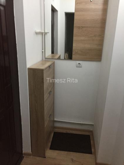 Garsoniera de vanzare-Grigore Balan 25 - 9