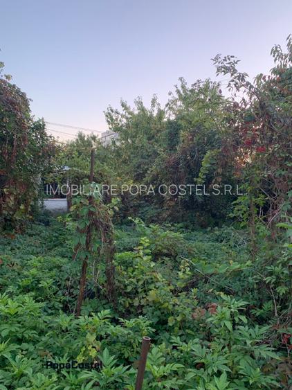 Otopeni central teren intravilan 970 mp langa viitor metrou, toate utilitatile - 5