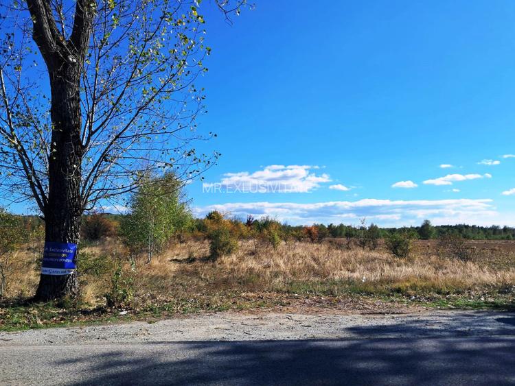 TEREN INTRAVILAN ȘI EXTRAVILAN BAIA DE FIER - 4