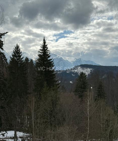 Casa de vacata Predeal Trei Brazi - 15