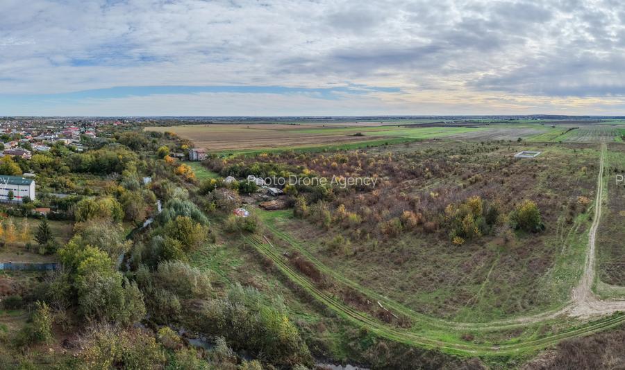 Teren Intravilan Domnești 7100mp | 12€/mp | Ideal Proiect Off-Grid & Casă Pasivă - 5