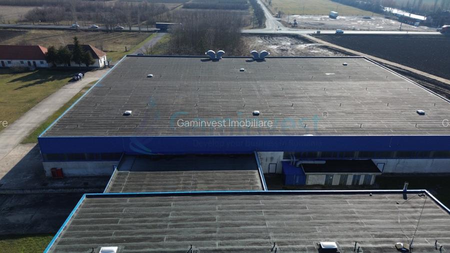 Hala Industriala de vanzare 6500 mp in Madaras la 30 km de Oradea, Bihor - 8