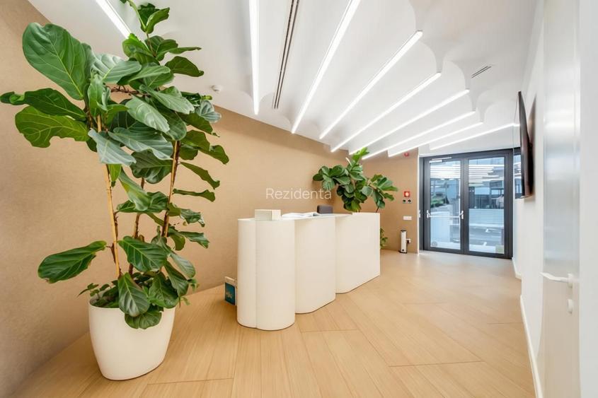 Spatiu Comercial 356mp | Cortina North | Locuri parcare - 3