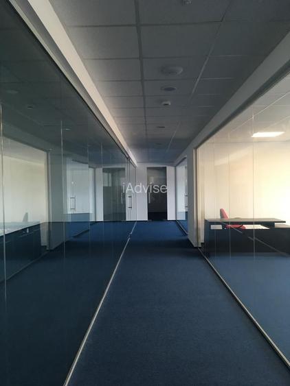 Park Logistic Cristian-inchirere spatii industriale moderne - 7