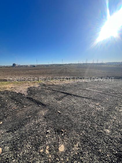 Medgidia -Teren 3 ha , deschidere la DN 22C , vizavi de Fluvimed Medgidia - 5