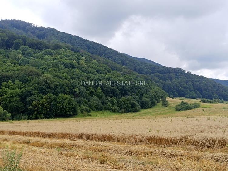 Brașov Bartolomeu,str Cucului , Intravilan 16.500 mp, dezvoltare rezidentiala - 3