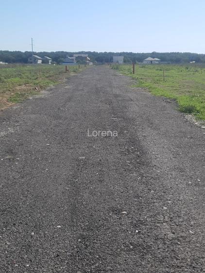 Vanzare teren CU TOATE UTILITATILE aproape de lac si padure Branesti - 4