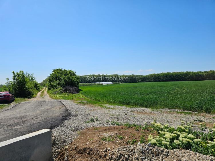 TEREN INTRAVILAN 17.714 MP – SCROVIȘTEA / BĂLTENI – LÂNGĂ PĂDURE - 4