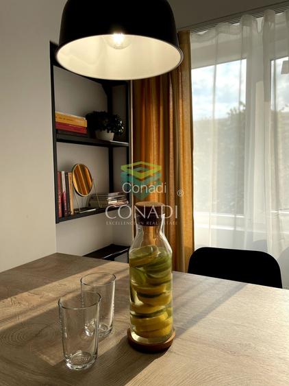 Garsoniera renovata modern str Nada Florilor - Teiul Domnei - 56