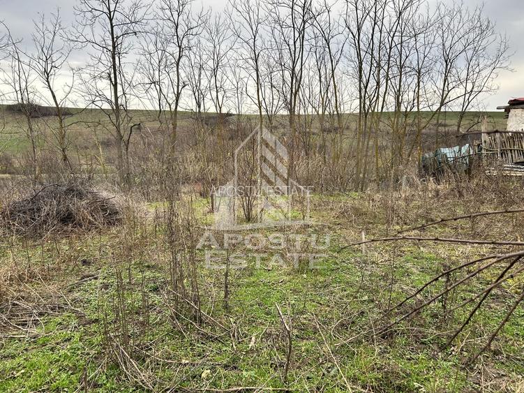 Teren 1942 mp, ideal casa de vacanta, alte activitati, Herneacova. - 5